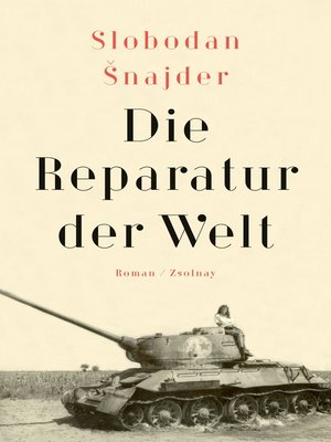 cover image of Die Reparatur der Welt